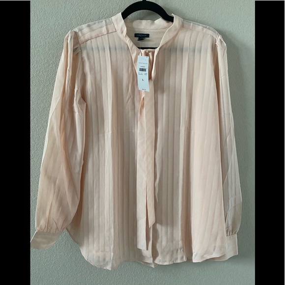 Ann Taylor pink sheer blouse - Picture 1 of 3